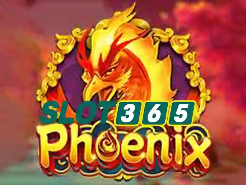 slot365 – Tổng quan thương hiệu và trải nghiệm slot365