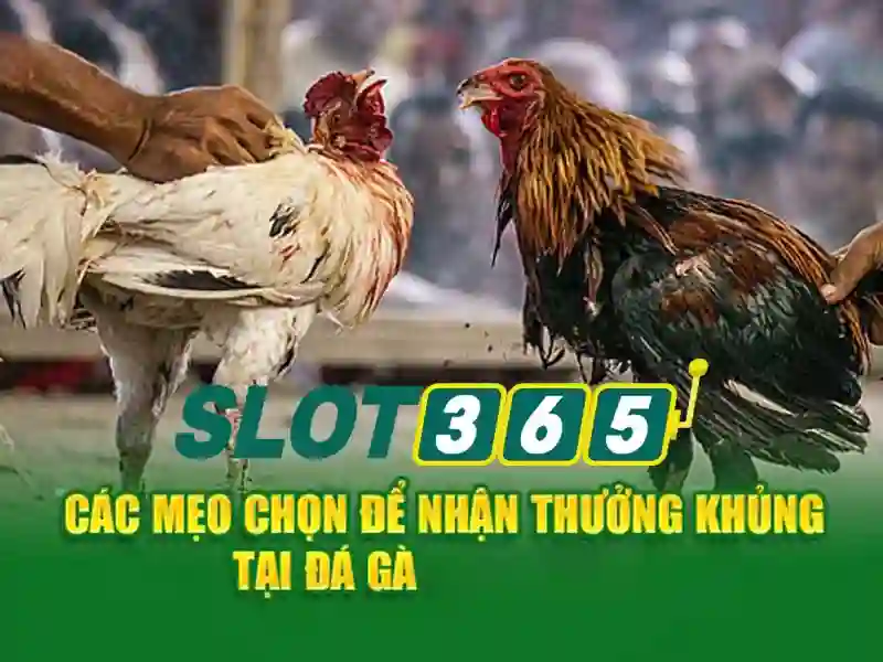 Slot365: Khám phá nền tảng chơi slot trực tuyến và ưu đãi