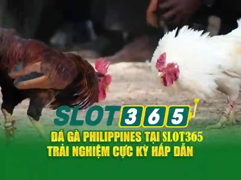 Slot365 là một nền tảng giải trí slot: Tổng quan và các tính năng