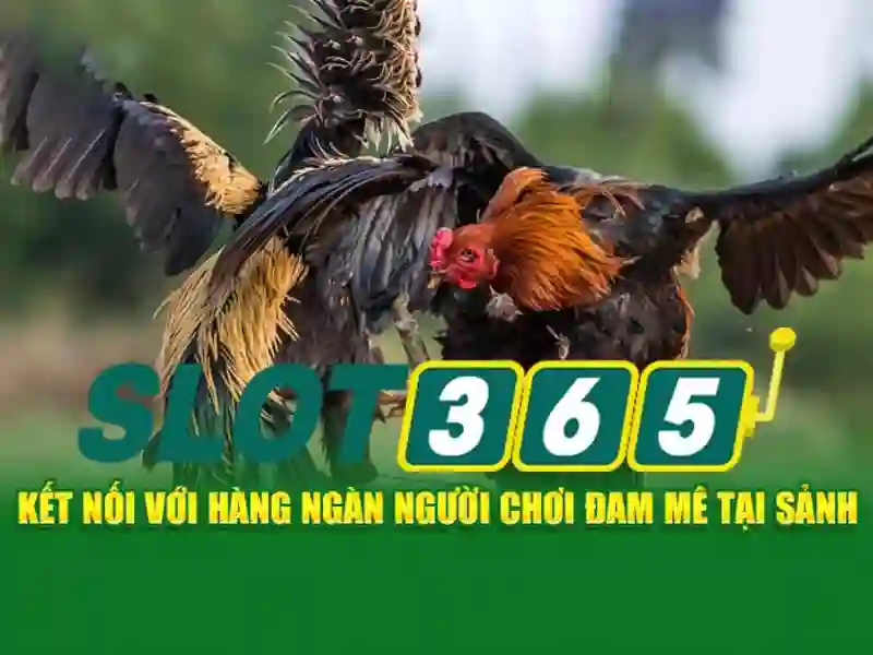 slot365 tảng 200k – chủ đề và giá trị