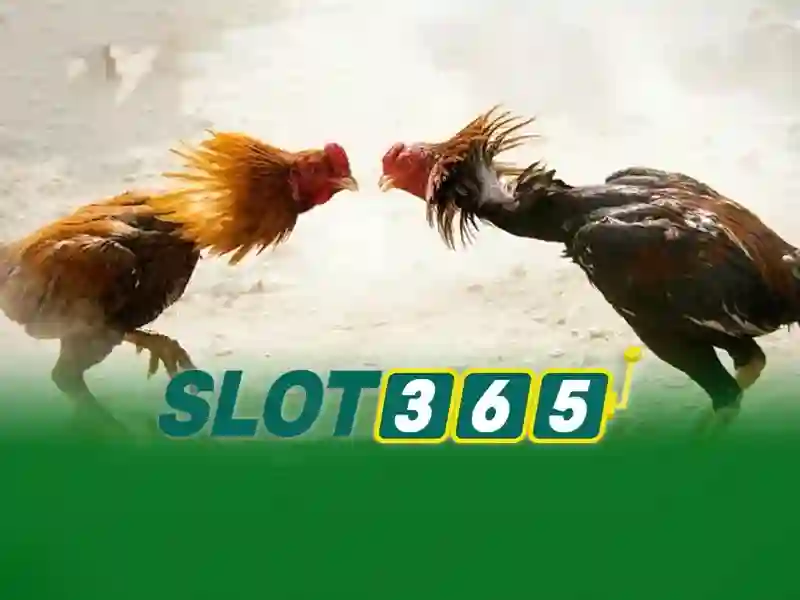 giao-dien-slot365