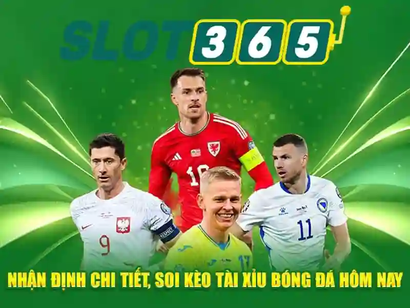 Slot365 - Tổng quan và trải nghiệm người chơi