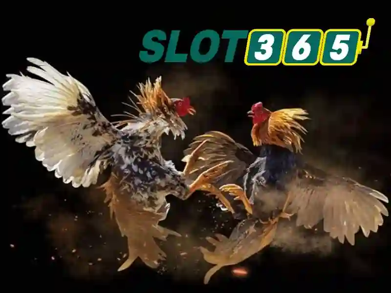 Slot365 nổ hũ – Trải nghiệm Slot365 net và link Slot365