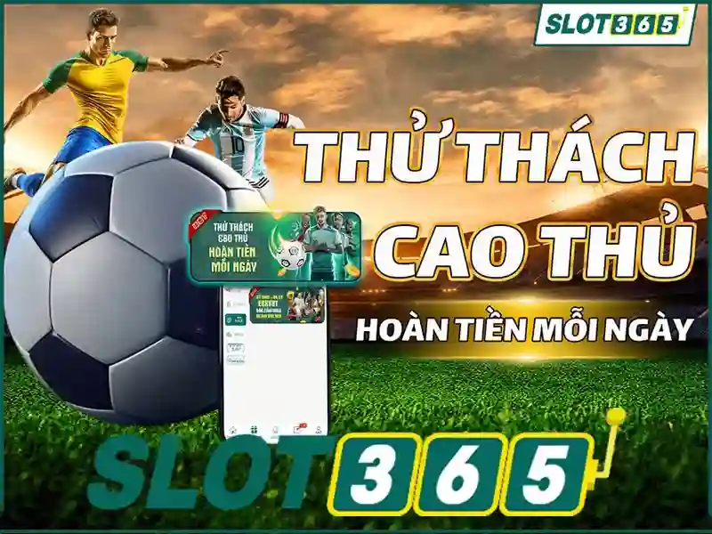 Trải nghiệm người dùng và giao diện