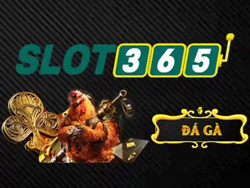 Slot365 là nền tảng giải trí quay thưởng trực tuyến