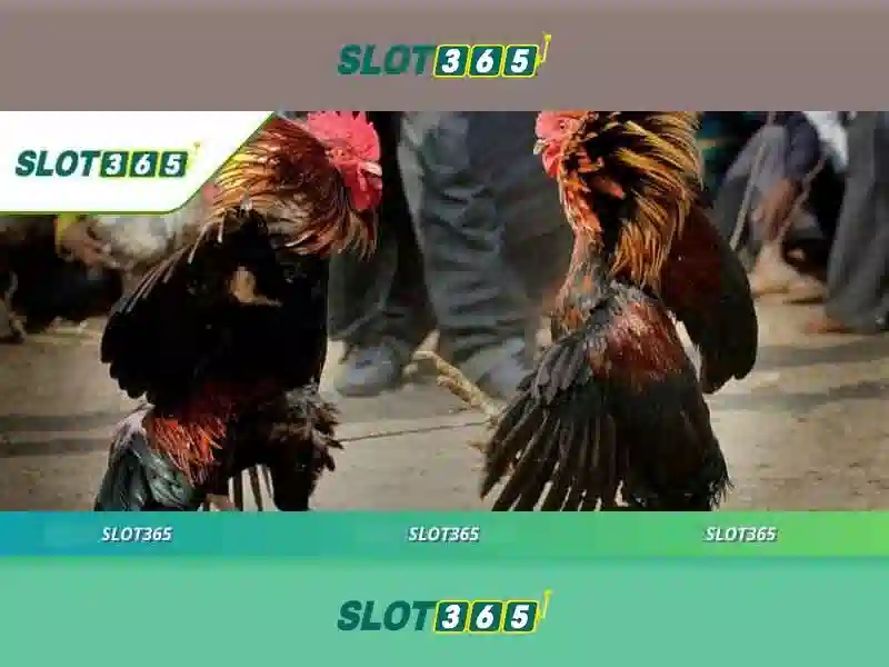 slot365 pulsa tanpa potongan – Trải nghiệm hoàn hảo cùng rút thưởng Slot365 và link Slot365