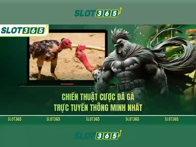 Sản phẩm và dịch vụ quanh rút thưởng Slot365