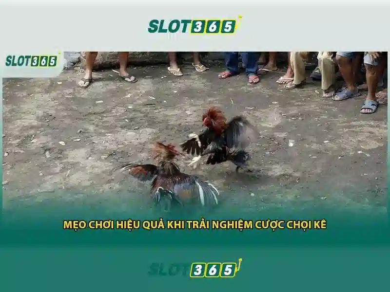 Slot365 và thế giới cá cược trực tuyến