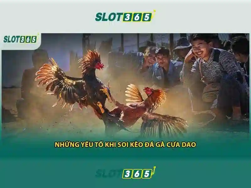 Slot365 - Nền tảng Slot Trực tuyến hàng đầu