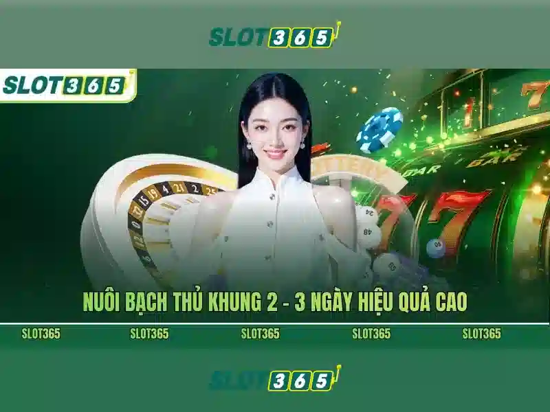 giftcode Slot365 – Khám phá giá trị và trải nghiệm giải trí số