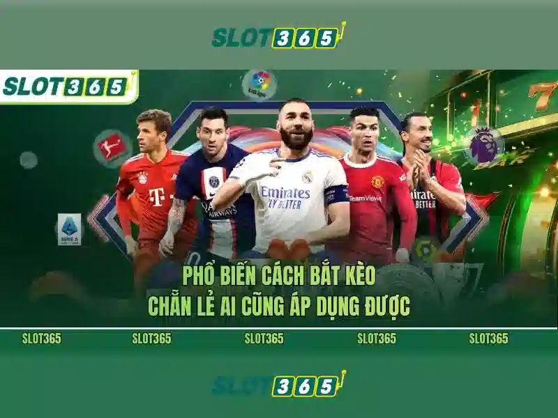 Slot365: Tổng quan về nền tảng cá cược trực tuyến nổi bật