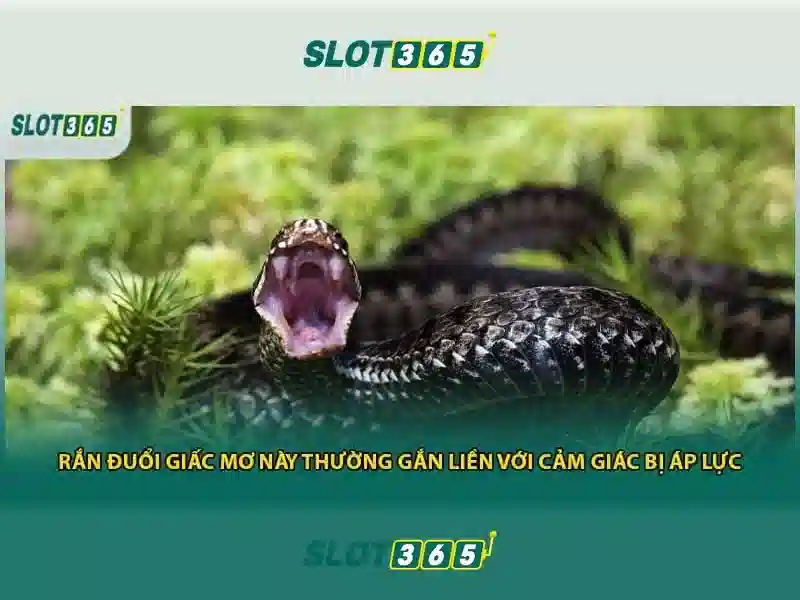 Slot365 là gì và tại sao nó được người chơi quan tâm