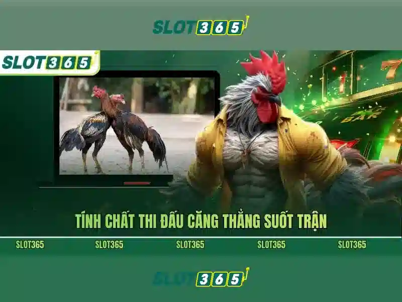slot365 xx vip – Trải nghiệm đỉnh cao và an toàn
