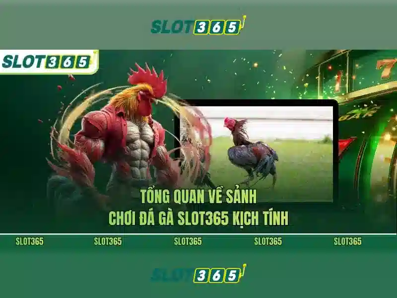hỗ trợ Slot365 – đồng hành an toàn và chuyên nghiệp