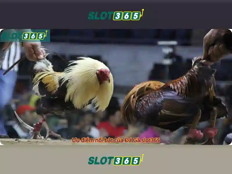 Slot365 - Sân chơi slot trực tuyến hiện đại