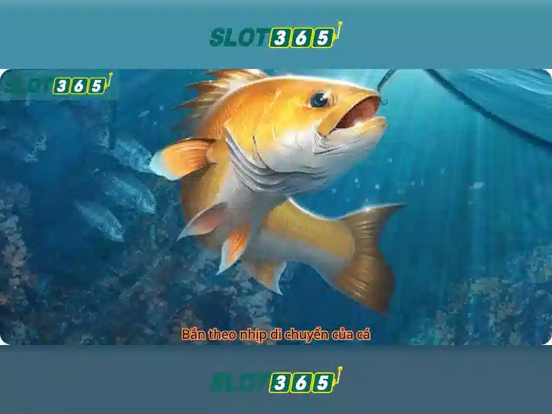 Slot365 – Tổng quan về nền tảng trò chơi trực tuyến