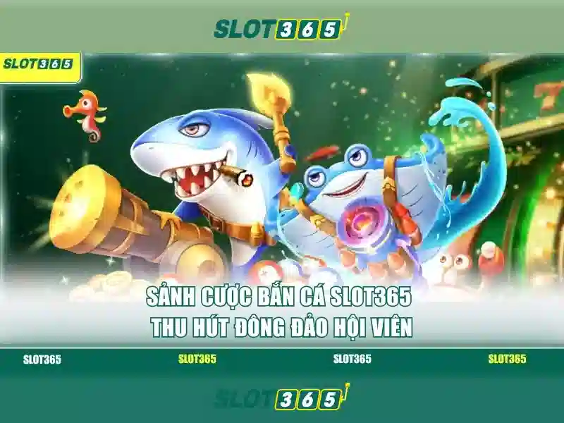 Giao diện người dùng và trải nghiệm di động