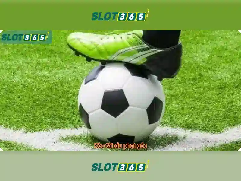 Slot365 - Khám phá nền tảng chơi slot trực tuyến