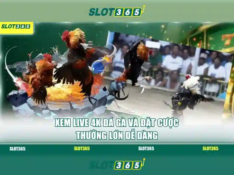 Slot365: Trải nghiệm casino slot trực tuyến uy tín