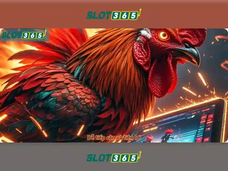Độ tin cậy và pháp lý của Slot365