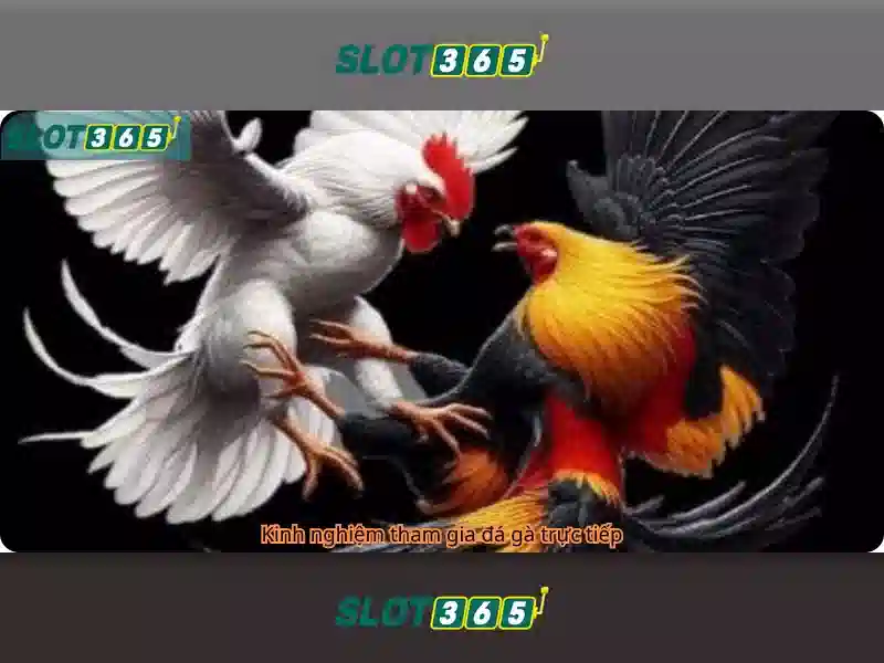 An toàn và bảo mật cho người chơi