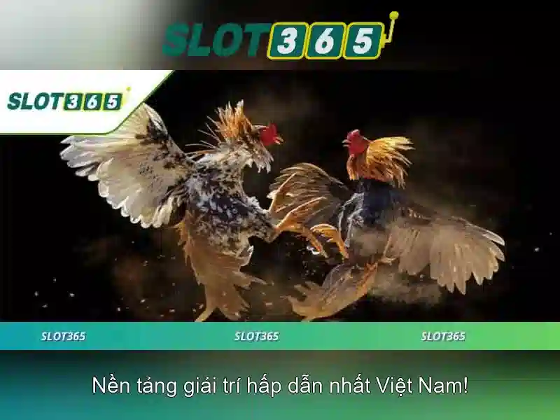 Slot365 - Trải nghiệm chơi slot trực tuyến tuyệt vời