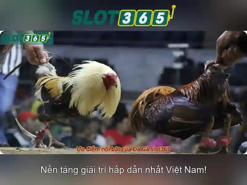 Slot365: Trải nghiệm máy xèng trực tuyến đỉnh cao