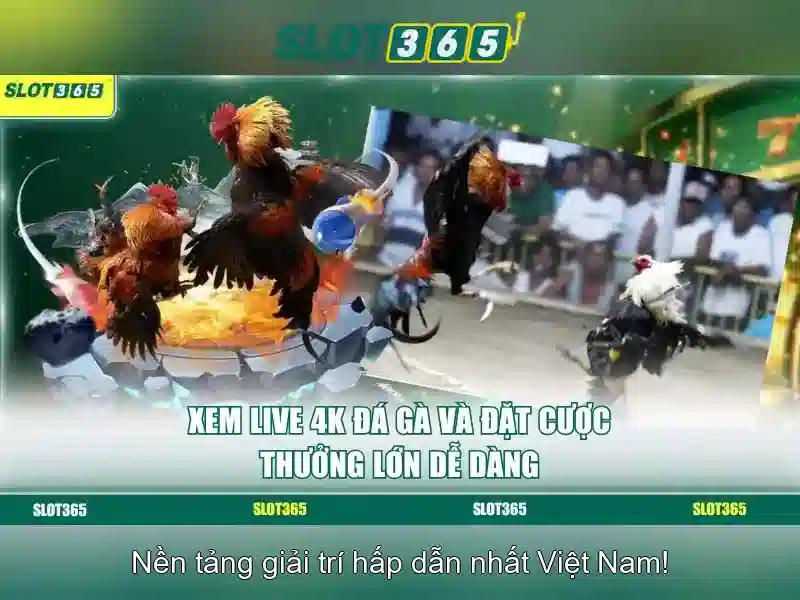Slot365 là gì?