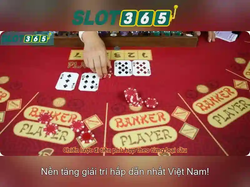 Khuyến mãi và chương trình VIP\n