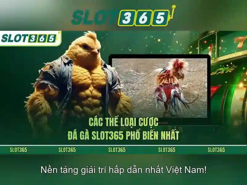 Slot365: Nền tảng giải trí hàng đầu\n\n