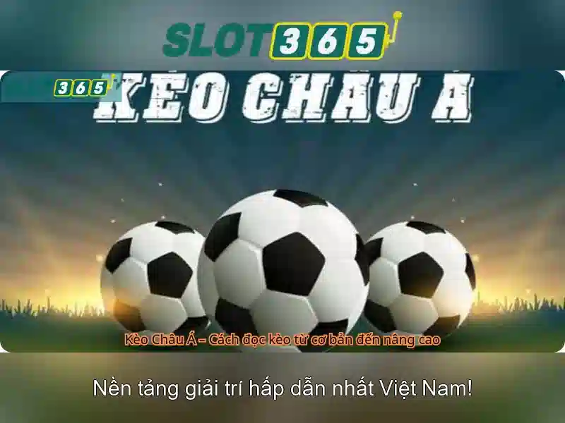 Chính sách bảo mật và thanh toán