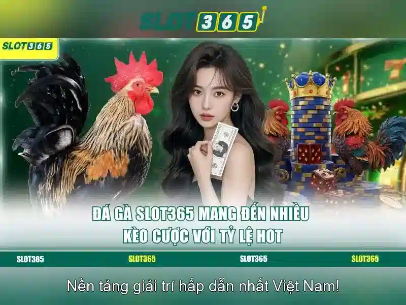 Slot365 là gì?