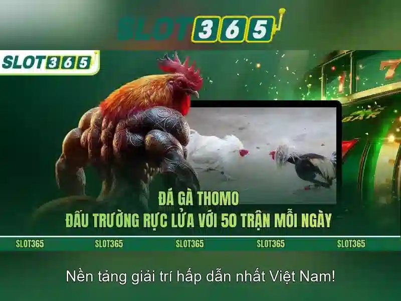 Các trò chơi và chức năng\n\n