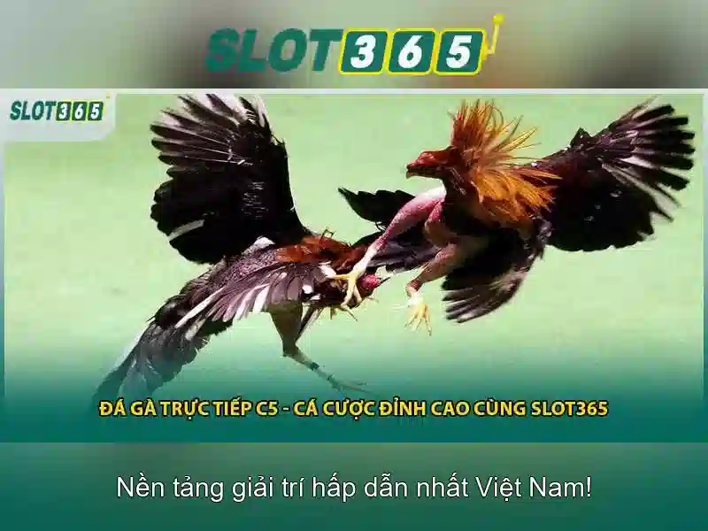 Mẹo và chiến lược chơi slot\n\n