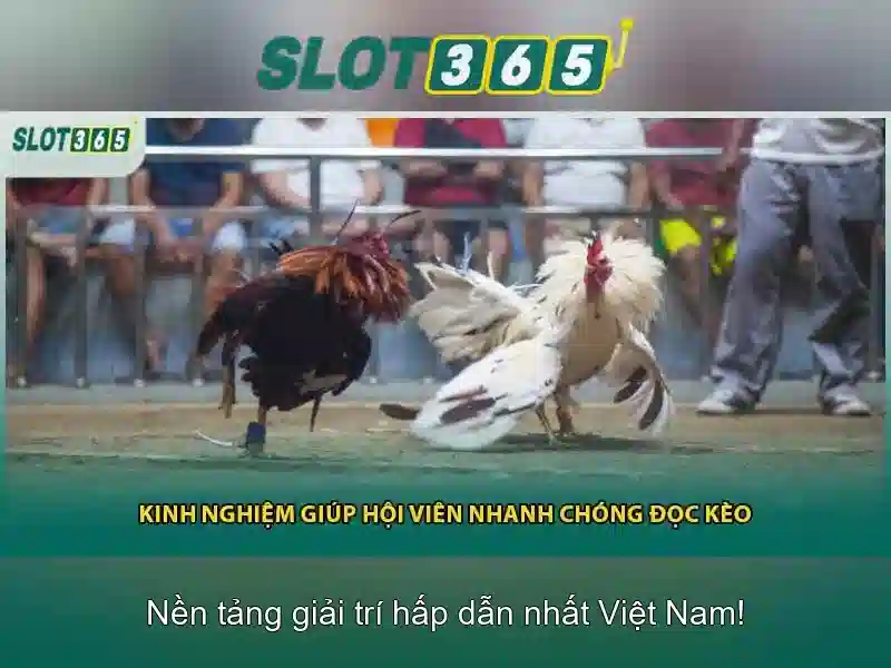 Slot365: Đánh giá, trải nghiệm và ưu đãi