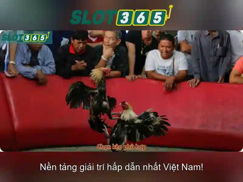 Slot365: Đánh giá và hướng dẫn chơi máy xèng trực tuyến