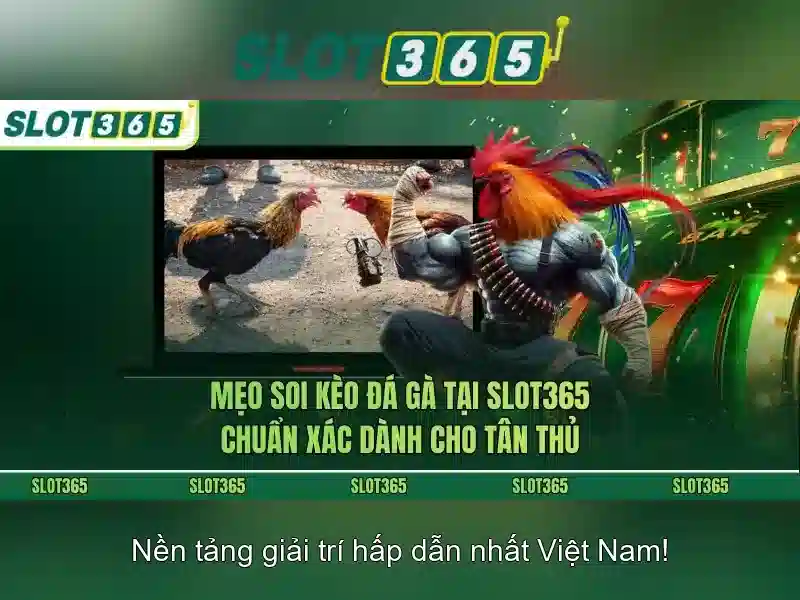 Nạp tiền và sử dụng bonus