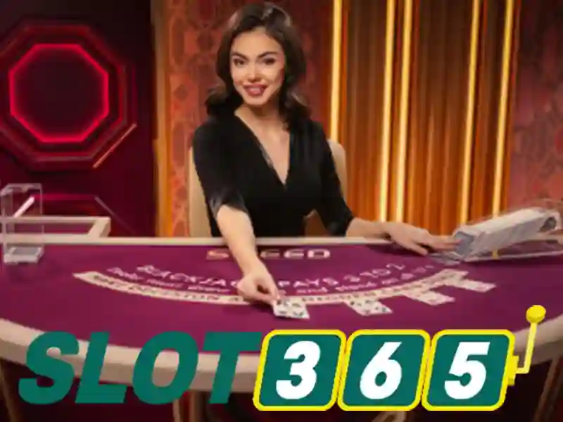 Slot365 là một nền tảng giải trí slot