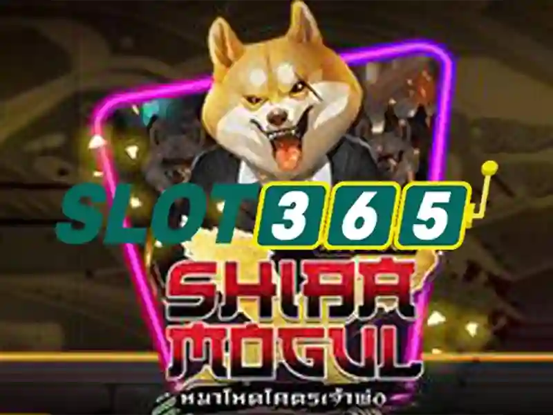 casino Slot365 – Tổng quan và trải nghiệm đáng tin cậy