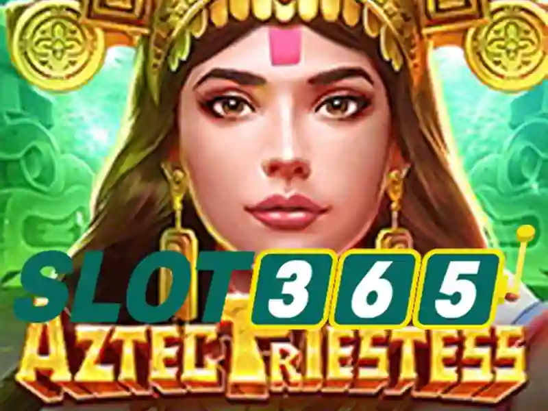 Slot365: Giới thiệu về sàn chơi slot điện tử