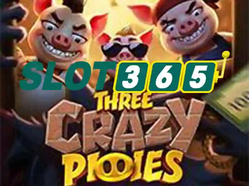 slot365 là gì: khám phá hệ sinh thái Slot365