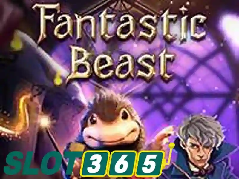 hỗ trợ Slot365: Đồng hành tin cậy cho trải nghiệm